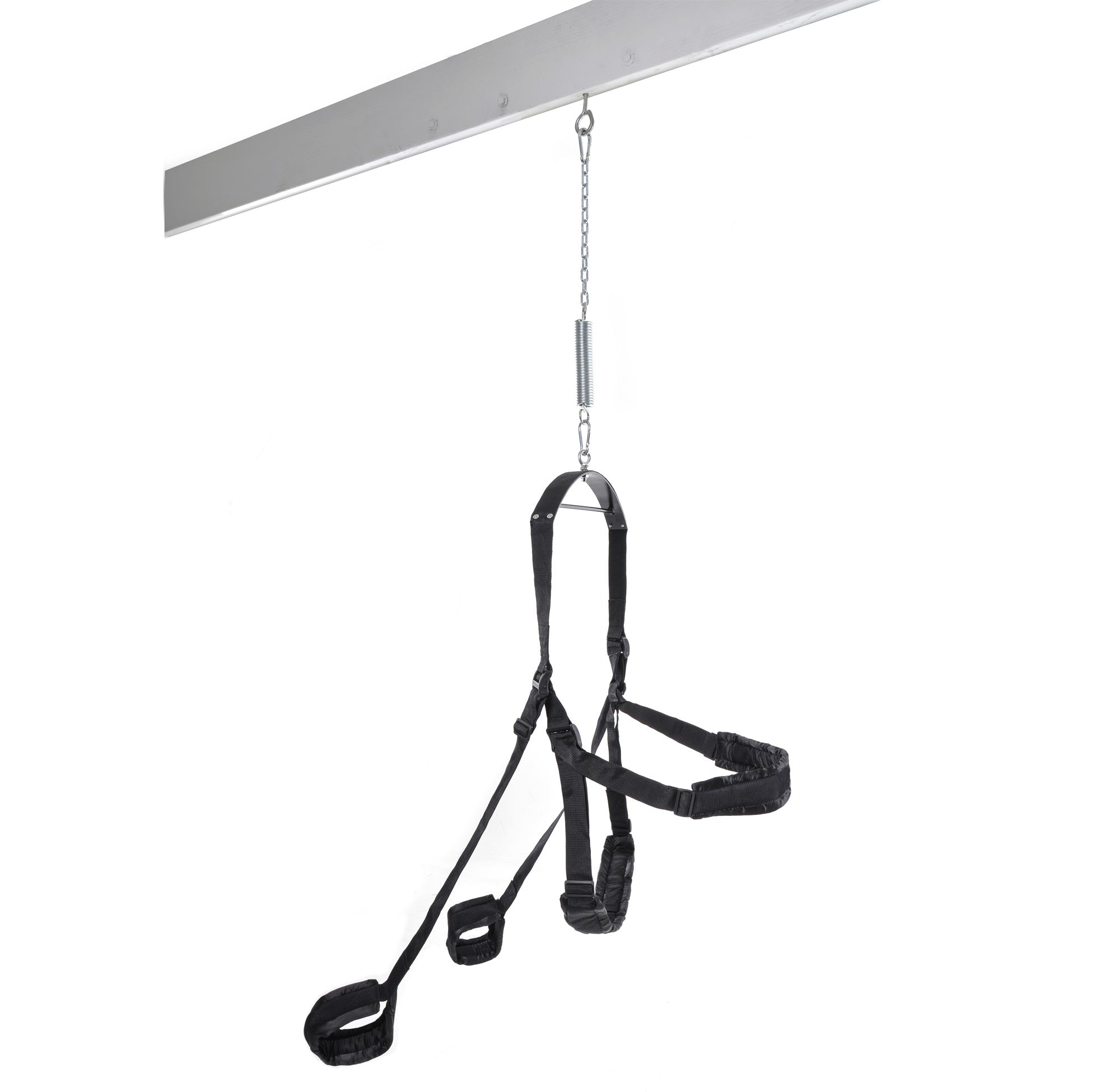 Sex Swing