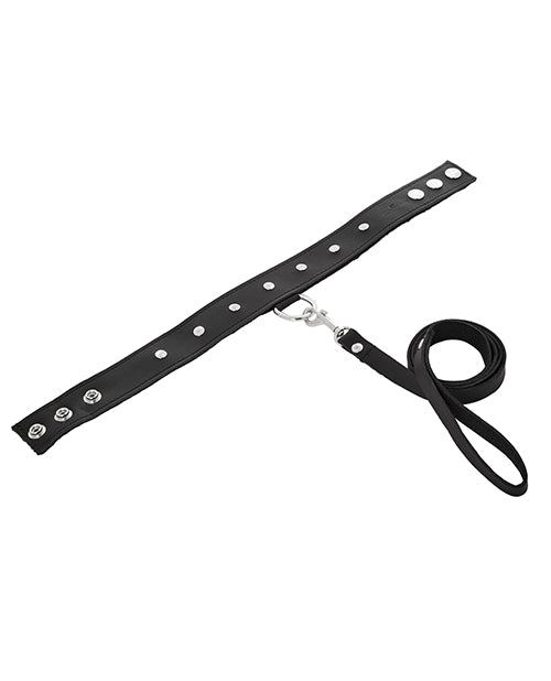 LEATHER LEASH & COLLAR