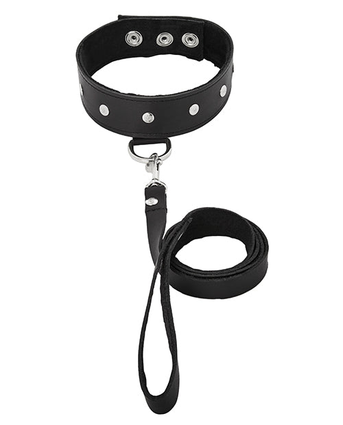 LEATHER LEASH & COLLAR