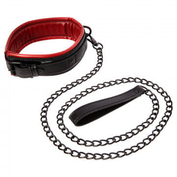 Two Tone Collar with Leash